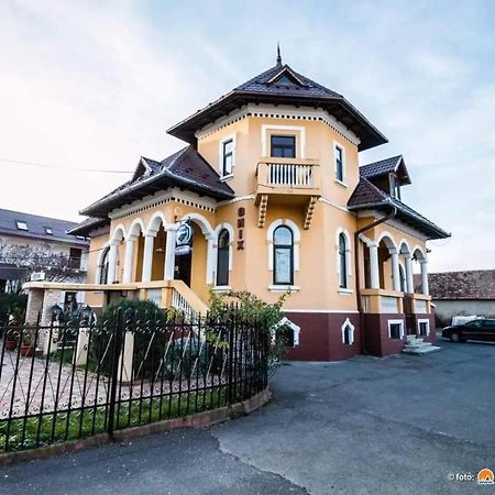Pensiunea Onix Făgăraş 外观 照片