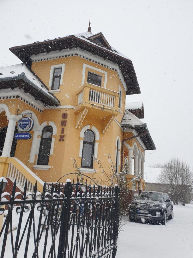 Pensiunea Onix Făgăraş 外观 照片