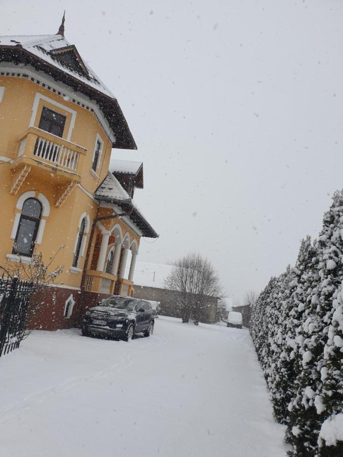 Pensiunea Onix Făgăraş 外观 照片