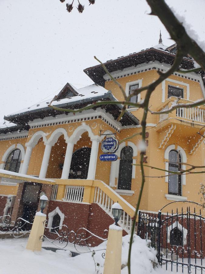 Pensiunea Onix Făgăraş 外观 照片