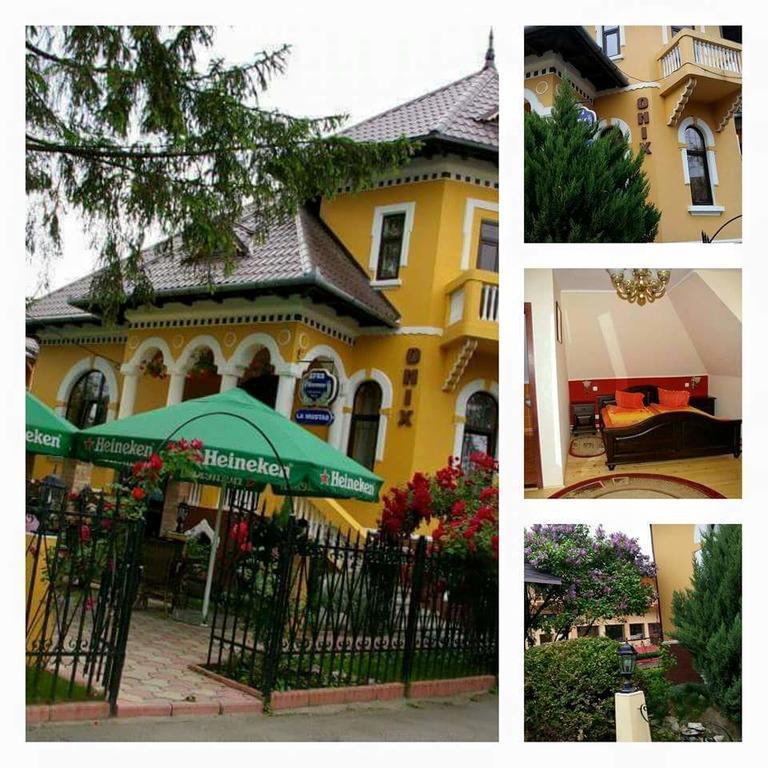 Pensiunea Onix Făgăraş 外观 照片