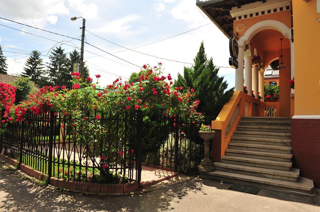 Pensiunea Onix Făgăraş 外观 照片