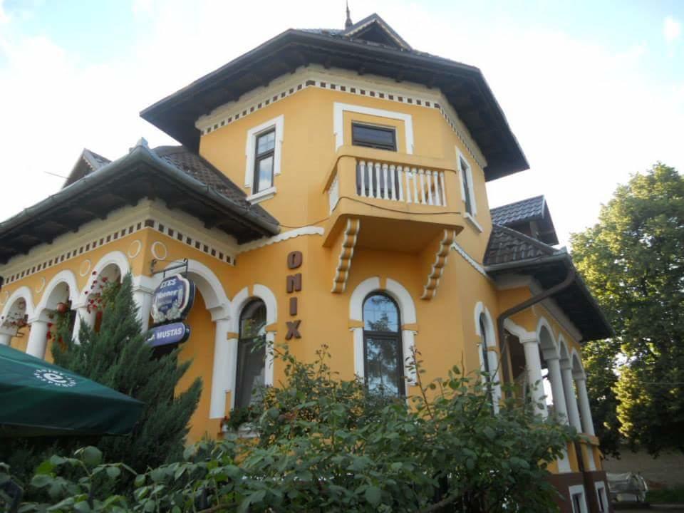 Pensiunea Onix Făgăraş 外观 照片