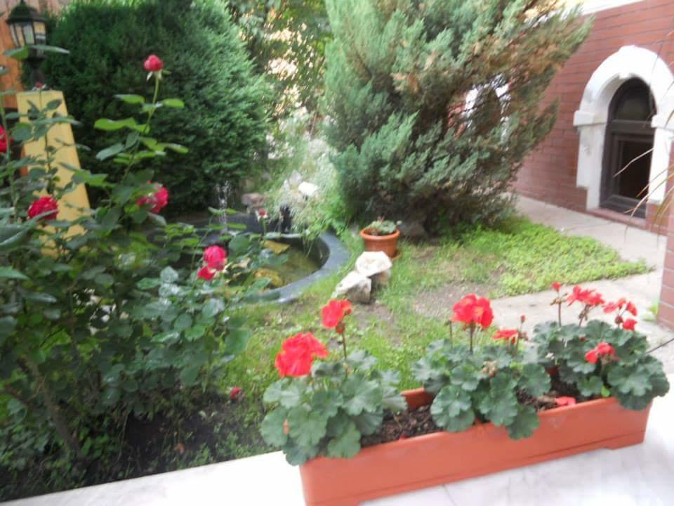 Pensiunea Onix Făgăraş 外观 照片