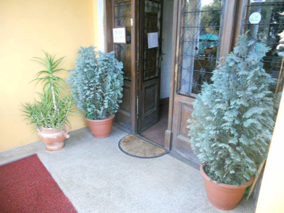 Pensiunea Onix Făgăraş 外观 照片