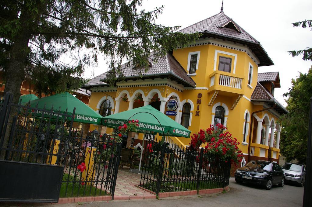 Pensiunea Onix Făgăraş 外观 照片