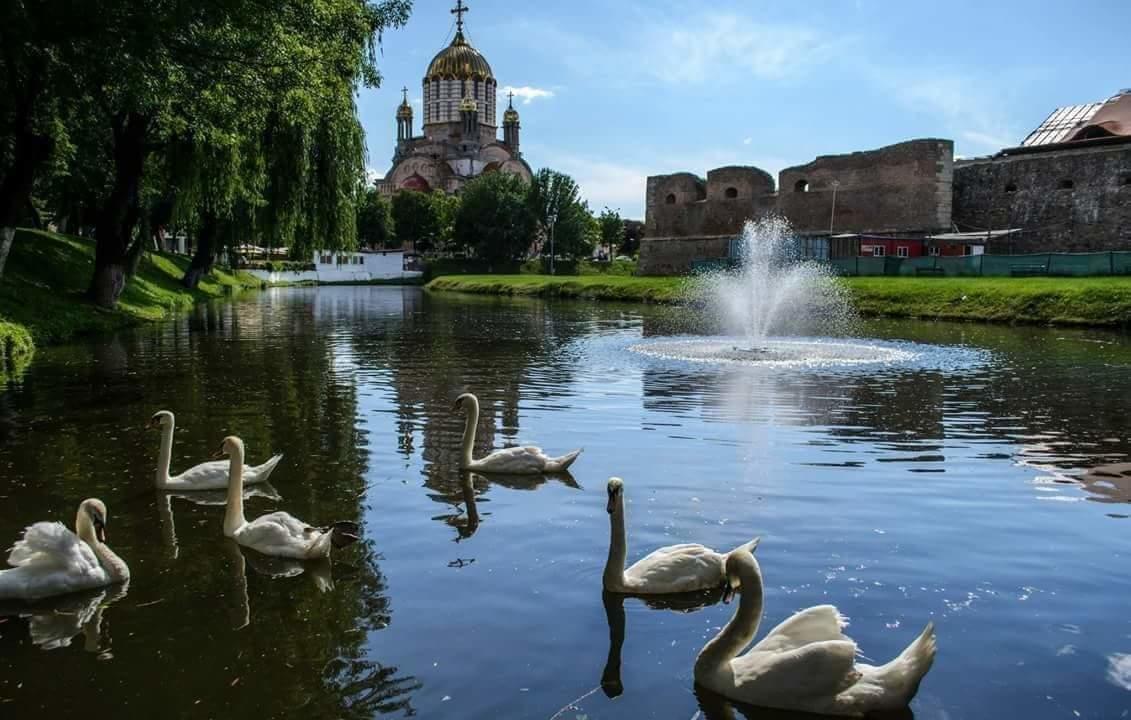Pensiunea Onix Făgăraş 外观 照片