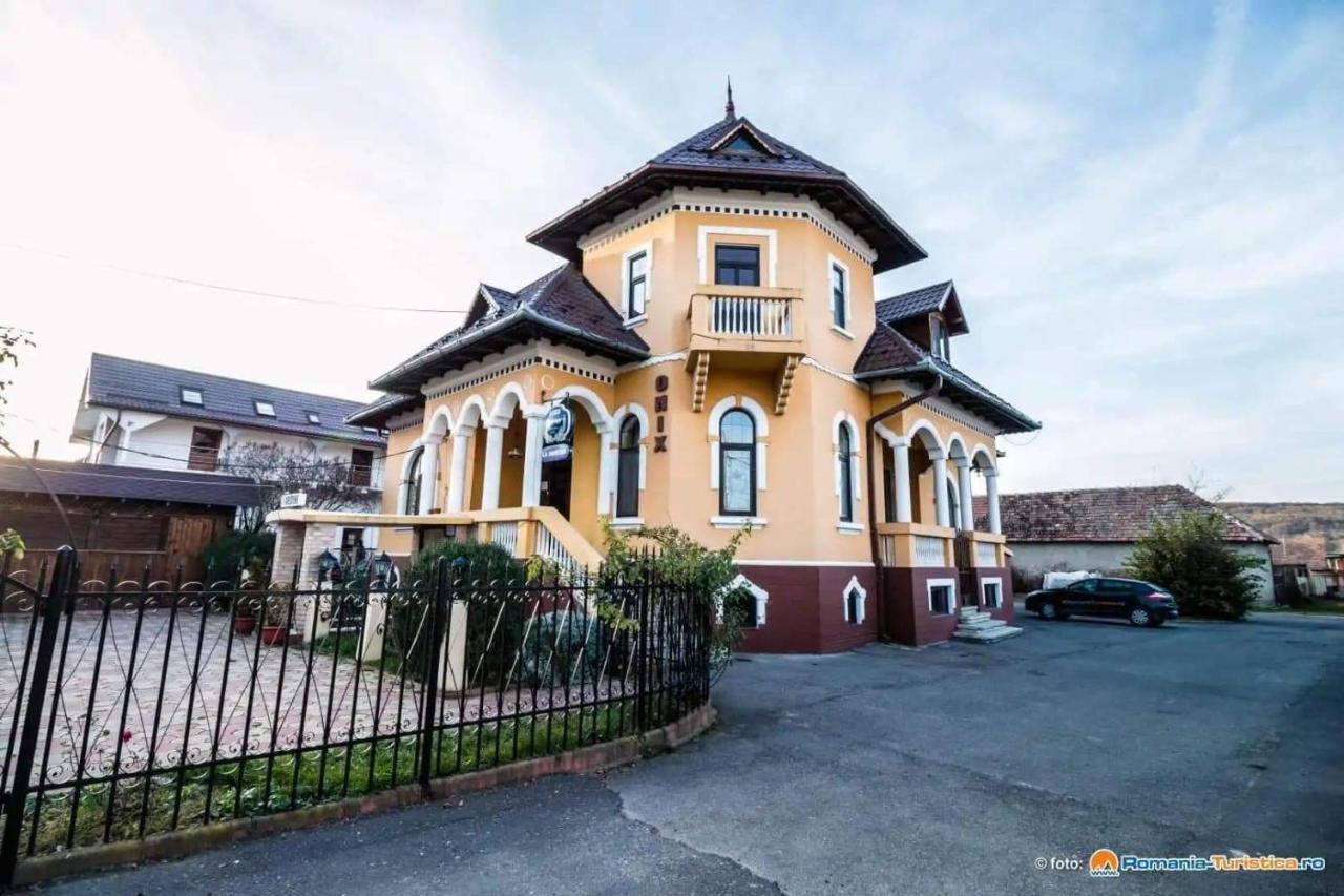 Pensiunea Onix Făgăraş 外观 照片
