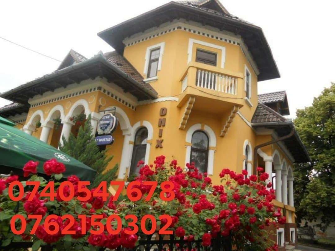 Pensiunea Onix Făgăraş 外观 照片