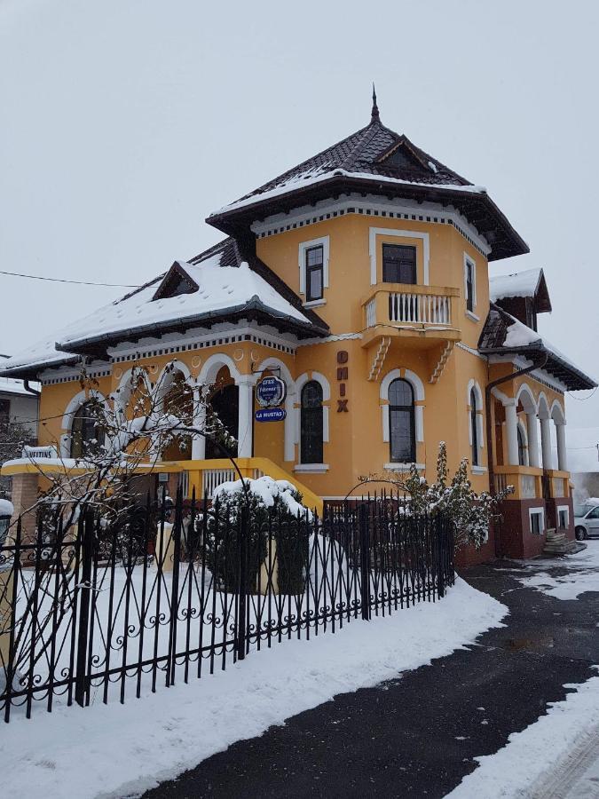 Pensiunea Onix Făgăraş 外观 照片